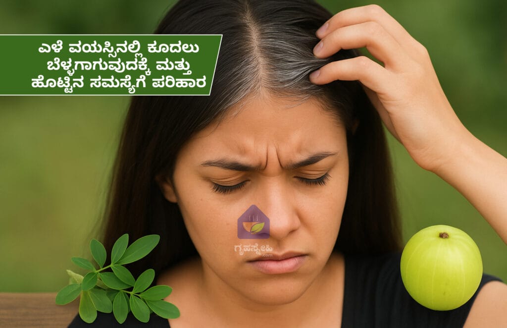 ಎಳೆ ವಯಸ್ಸಿನಲ್ಲಿ ಕೂದಲು ಬೆಳಗಾಗುತ್ತಿದೆಯೇ!!! ಜೊತೆಗೆ ಹೊಟ್ಟಿನ ಸಮಸ್ಯೆಗಳು ಇದೆಯೇ? ತಪ್ಪದೆ ಓದಿ ಮತ್ತು ಶೀಘ್ರ ಪರಿಹಾರವನ್ನು ಪಡೆದುಕೊಳ್ಳಿ