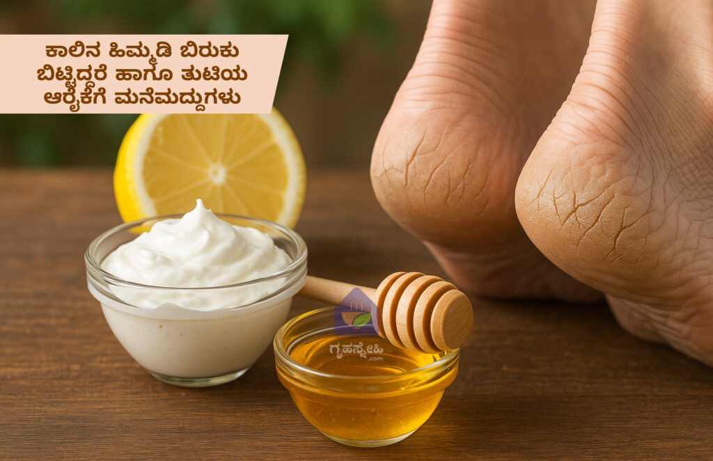 ಕಾಲಿನ ಹಿಮ್ಮಡಿ ಬಿರುಕು ಬಿಟ್ಟಿದ್ದರೆ ಹಾಗೂ ತುಟಿಯ ಆರೈಕೆಗೆ ಸುಲಭ ಮನೆಮದ್ದುಗಳು