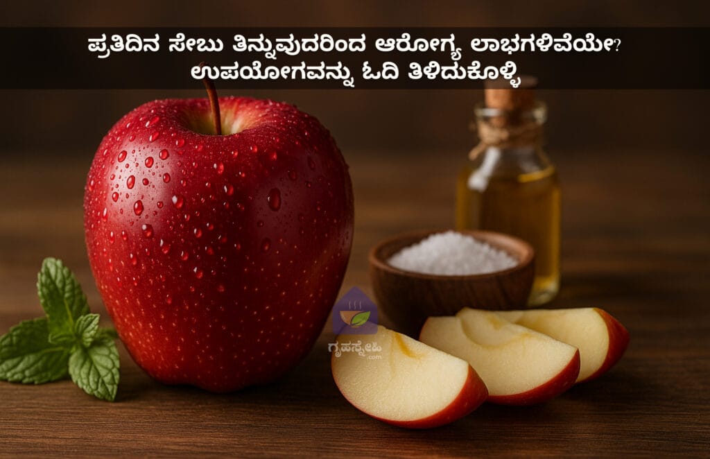 ಪ್ರತಿದಿನ ಸೇಬು ತಿನ್ನುವುದರಿಂದ ಆರೋಗ್ಯ ಲಾಭಗಳಿವೆಯೇ? ಉಪಯೋಗವನ್ನು ಓದಿ ತಿಳಿದುಕೊಳ್ಳಿ