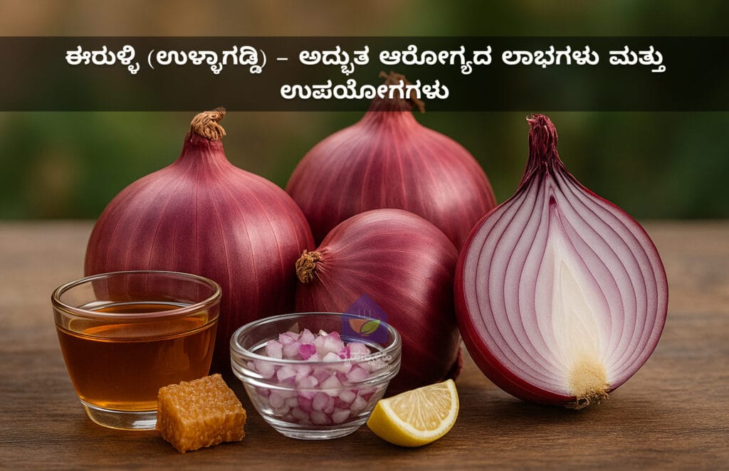 ಈರುಳ್ಳಿ (ಉಳ್ಳಾಗಡ್ಡಿ) - ಅದ್ಭುತ ಆರೋಗ್ಯದ ಲಾಭಗಳು ಮತ್ತು ಉಪಯೋಗಗಳು
