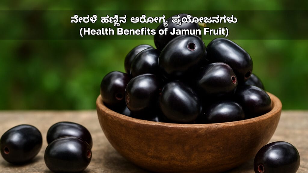 ನೇರಳೆ ಹಣ್ಣಿನ ಆರೋಗ್ಯ ಪ್ರಯೋಜನಗಳು (Health Benefits of Jamun Fruit)