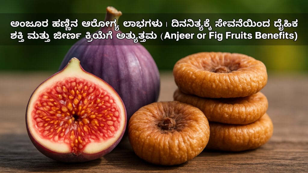 ಅಂಜೂರ ಹಣ್ಣಿನ ಆರೋಗ್ಯ ಲಾಭಗಳು | ದಿನನಿತ್ಯಕ್ಕೆ ಸೇವನೆಯಿಂದ ದೈಹಿಕ ಶಕ್ತಿ ಮತ್ತು ಜೀರ್ಣ ಕ್ರಿಯೆಗೆ ಅತ್ಯುತ್ತಮ (Health Benefits of eating Anjeer or Fig Fruits)